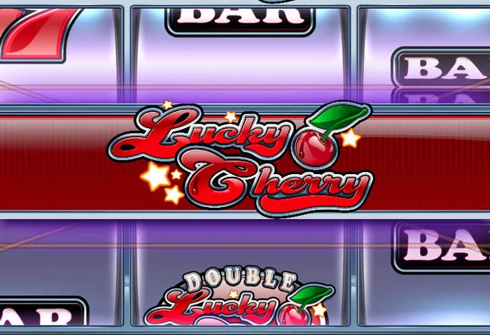 Free spins and bonus cash with Sharkroll Casino 2024 no deposit bonus codes.